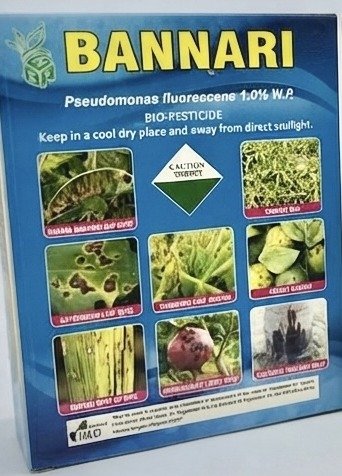 Pseudomonas fluorescens 1.0% W.P.